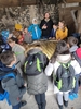 IMG 20230215 121236