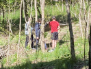 IMG 0336