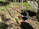 IMG 0359