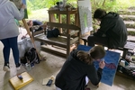IMG 7405