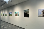 IMG 0857