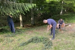 IMG 7543