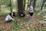 IMG 7547