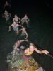 IMG 2610