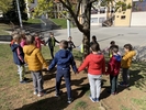 IMG 4957