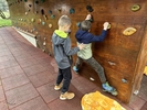 IMG 0244