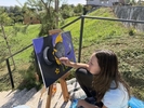 IMG 7078