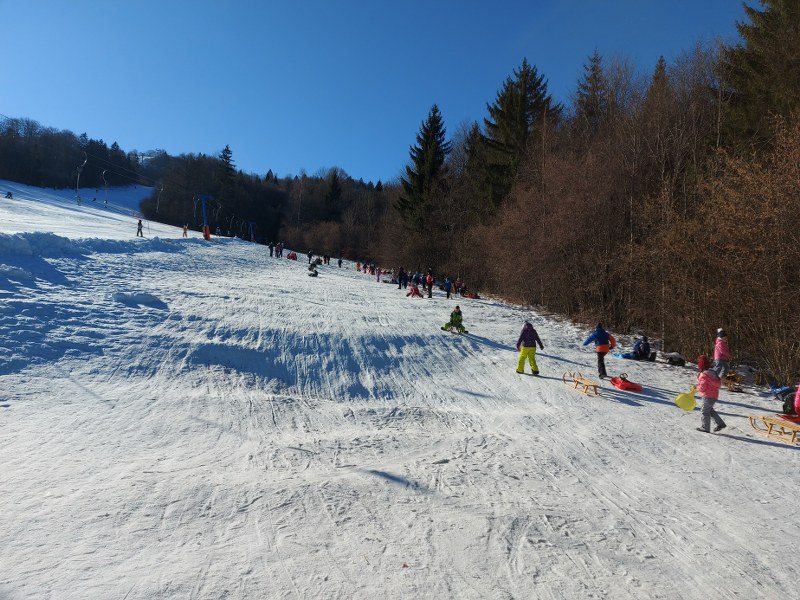 20220118 101532 800x600