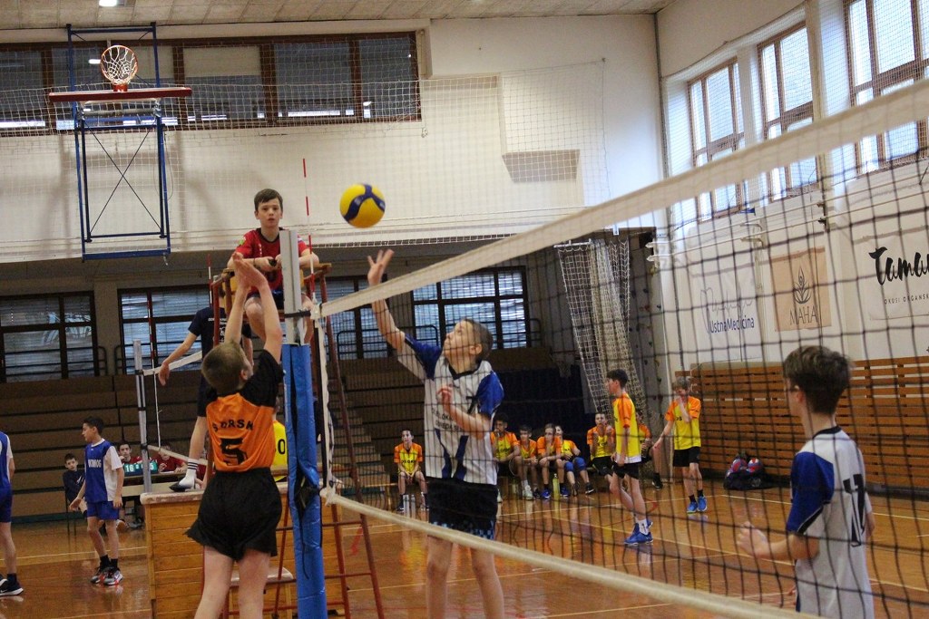 IMG 0566 1024x683