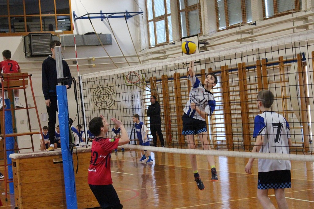 IMG 0604 1024x683
