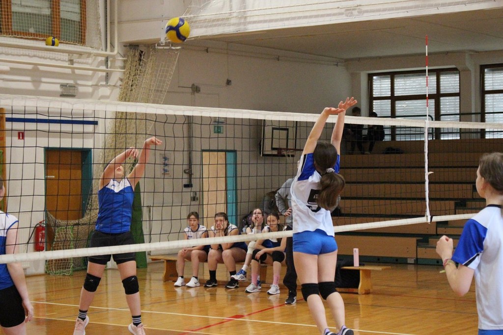IMG 0983 1024x683