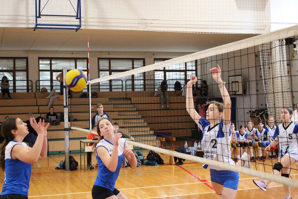IMG 0989 1024x683