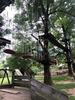 IMG 7176