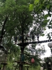 IMG 7180