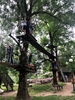 IMG 7190