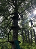IMG 7194