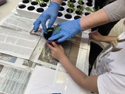 thumbnail IMG 4810 1