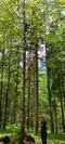 pro T4MZEFOA 270x600