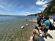 IMG 4155 1