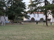 IMG 2415 1