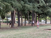 IMG 2417 1