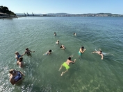 IMG 4171 1