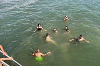 IMG 7141 1 1
