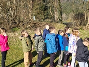 received 1559210222264610 1