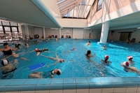 IMG 7186 1