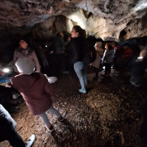 7ef069927069811ef05d0cd4e26f434a