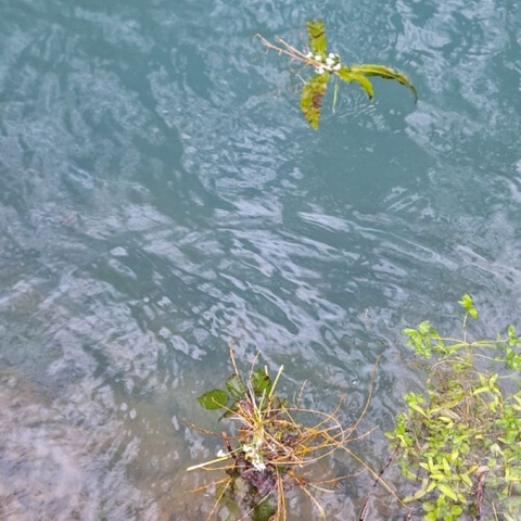 84d24b2d1dd4aa477fe2203f0de559fc