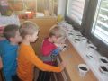 IMG 3741