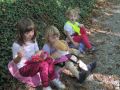 IMG 0261