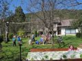 IMG 0282